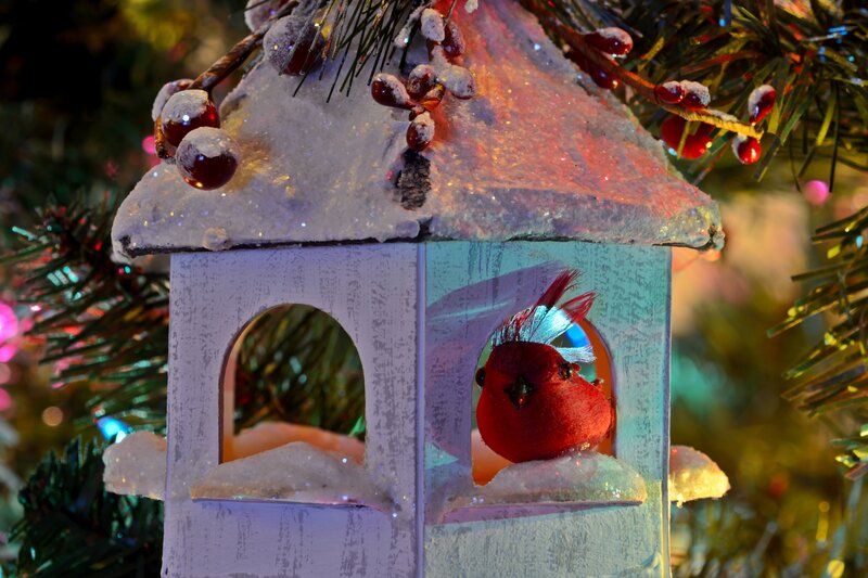 Red Bird in Birdhouse