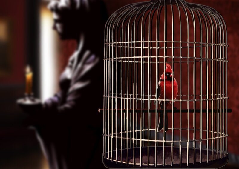 Red Bird in Cage