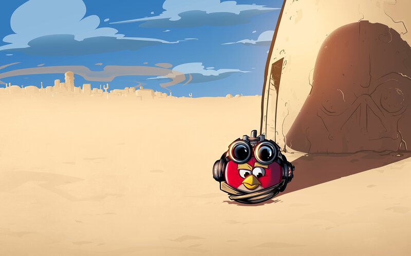 Red Bird in Desert