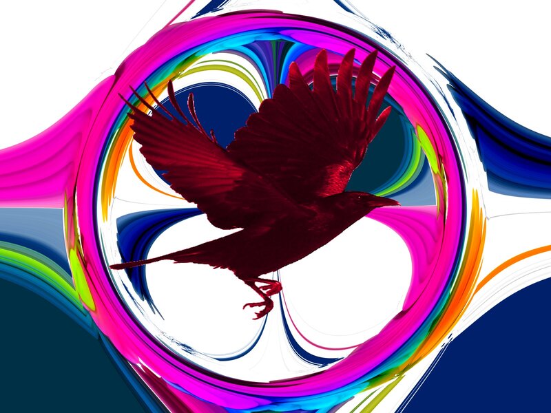 Red Bird in Flight