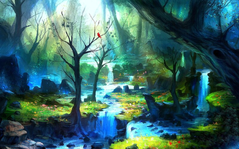 Red Bird in Forest