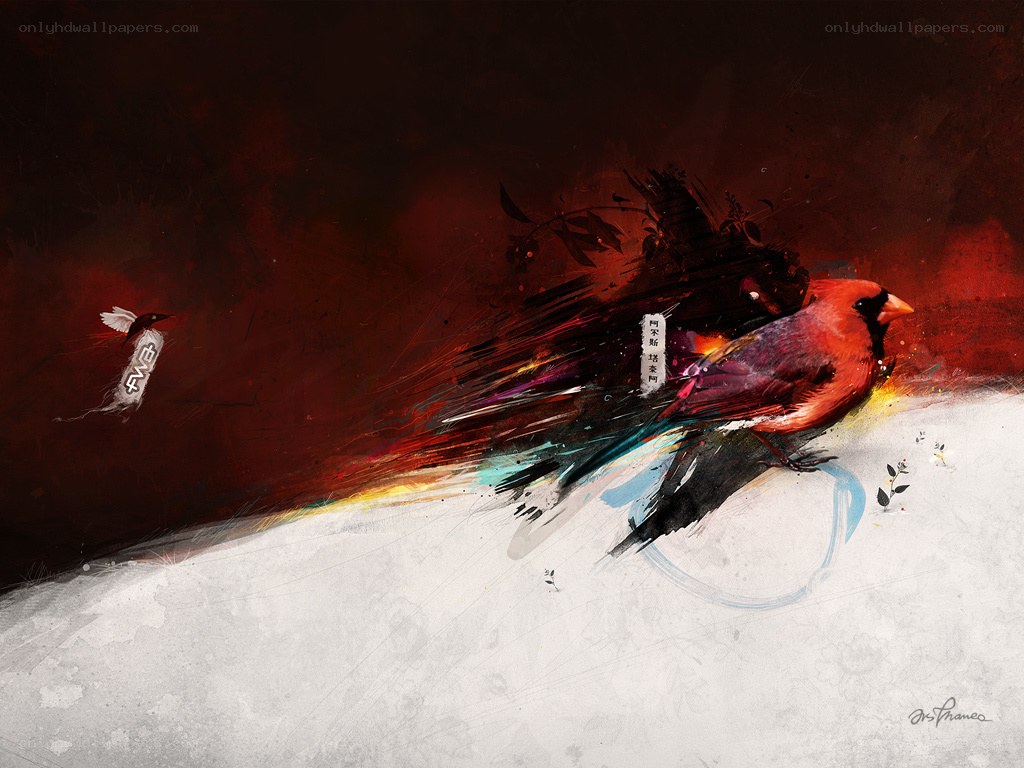 Red bird in motion