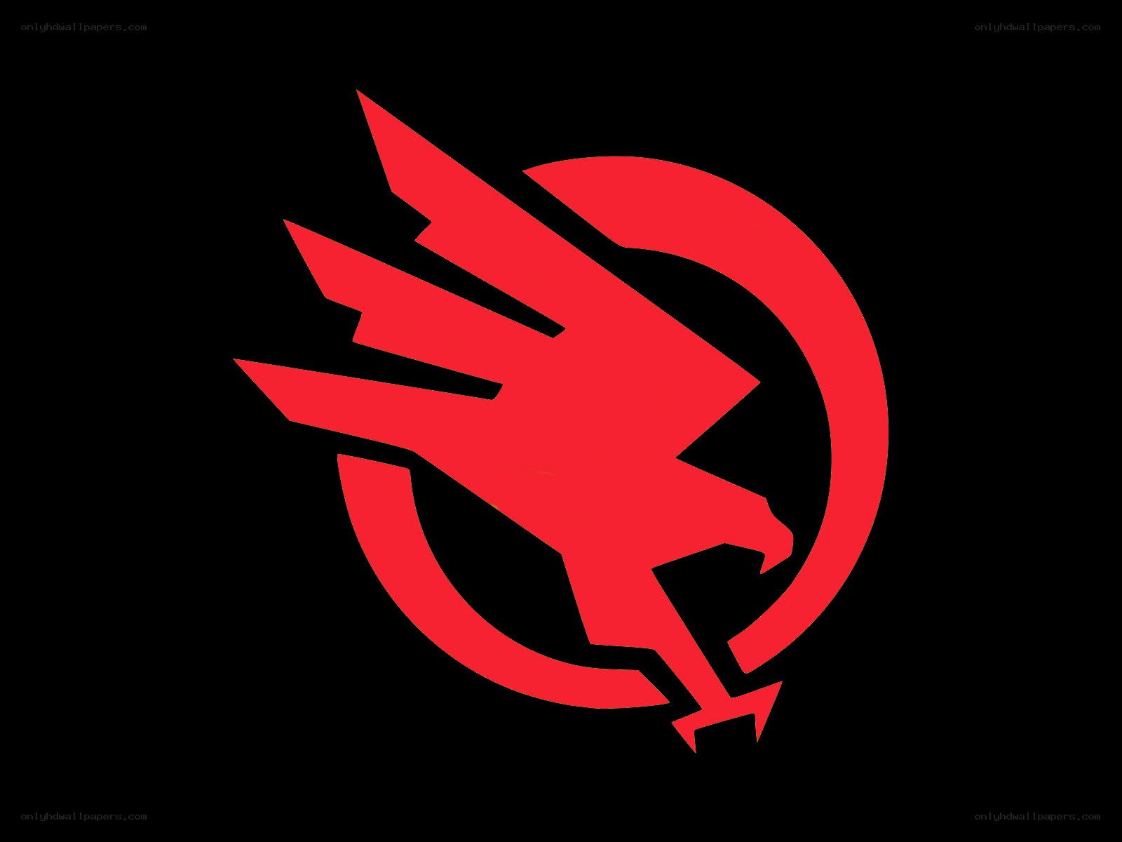Red bird logo on black