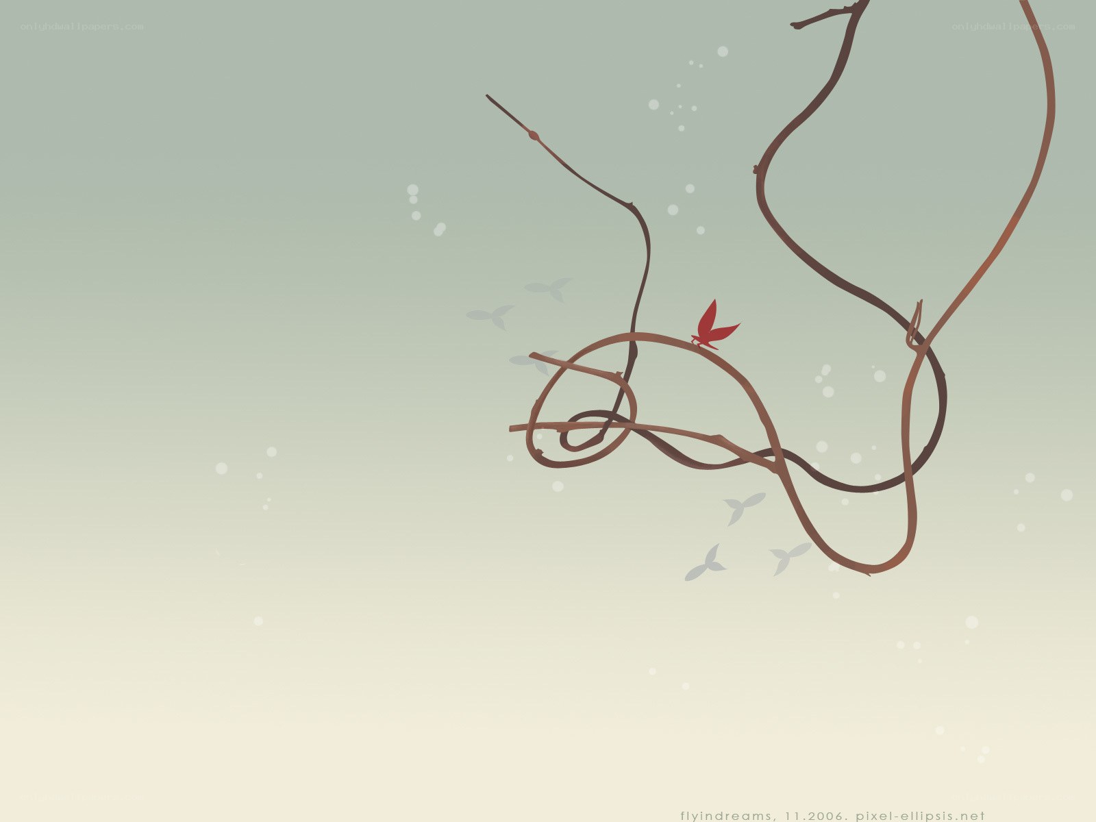 Red bird on a vine
