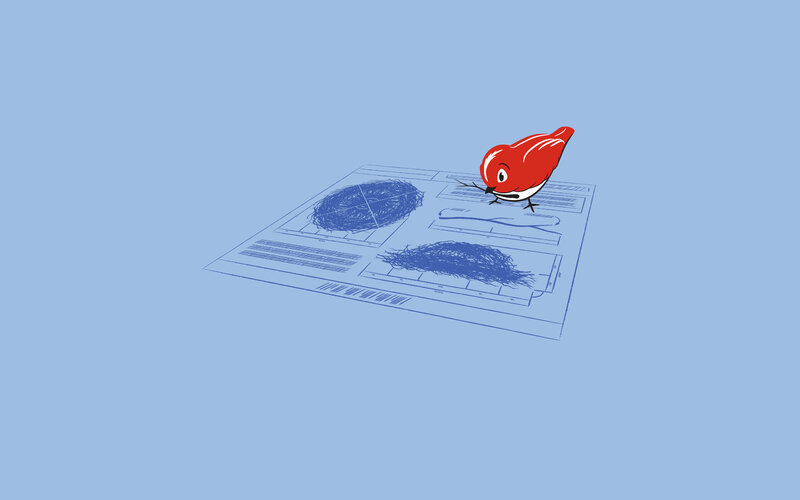 Red bird on blueprint