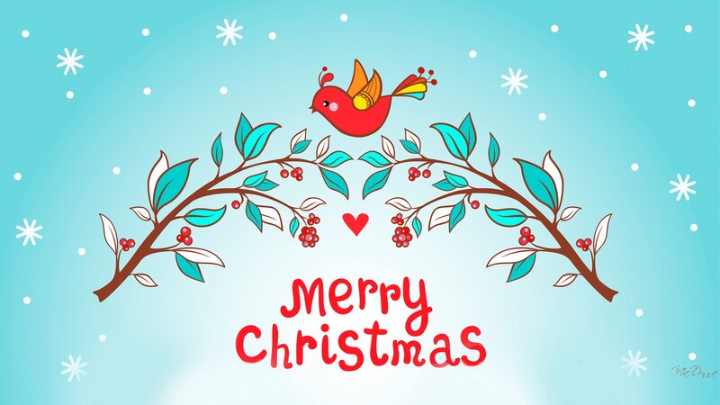Red Bird on Branch — Blue, Festive