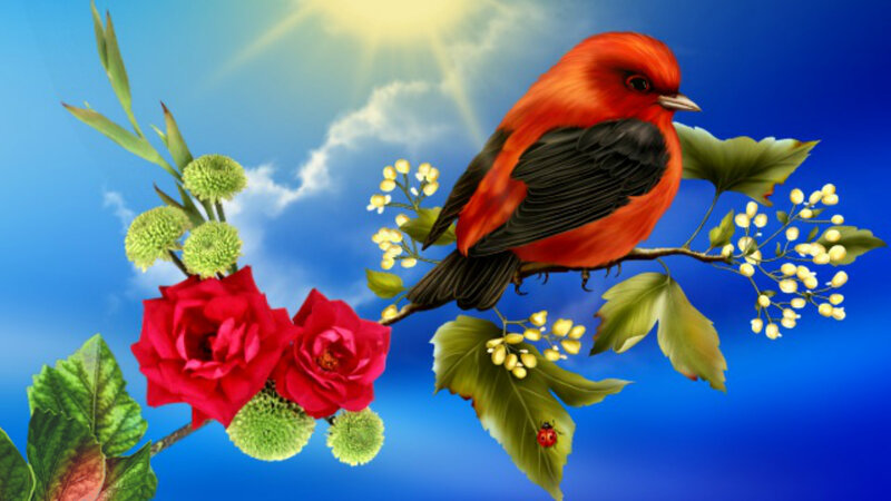 Red Bird on Branch — Blue, Serene