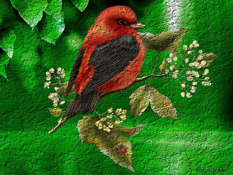 Red Bird on Branch — Green, Serene