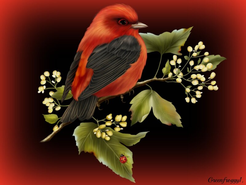 Red Bird on Branch — Serene, Digital Art, Flowers