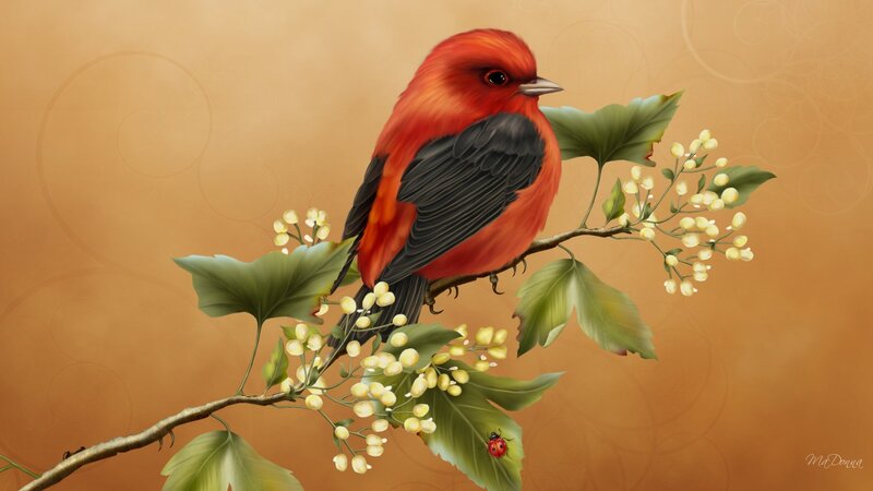 Red Bird on Branch — Serene, Digital Art