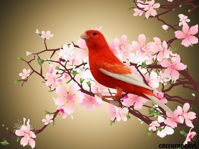 Red Bird on Branch — Serene, Spring, Digital Art
