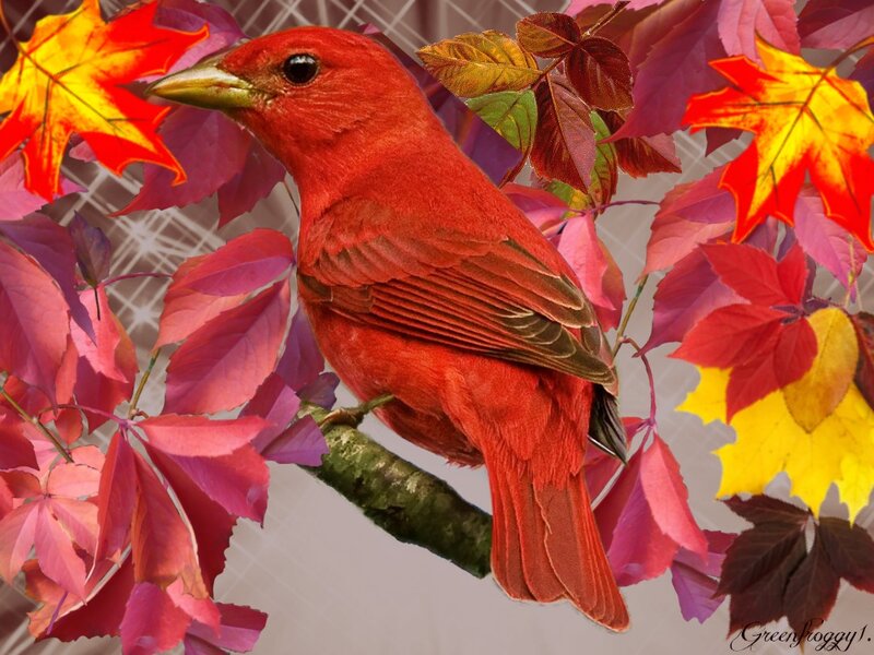 Red Bird on Branch — Vibrant