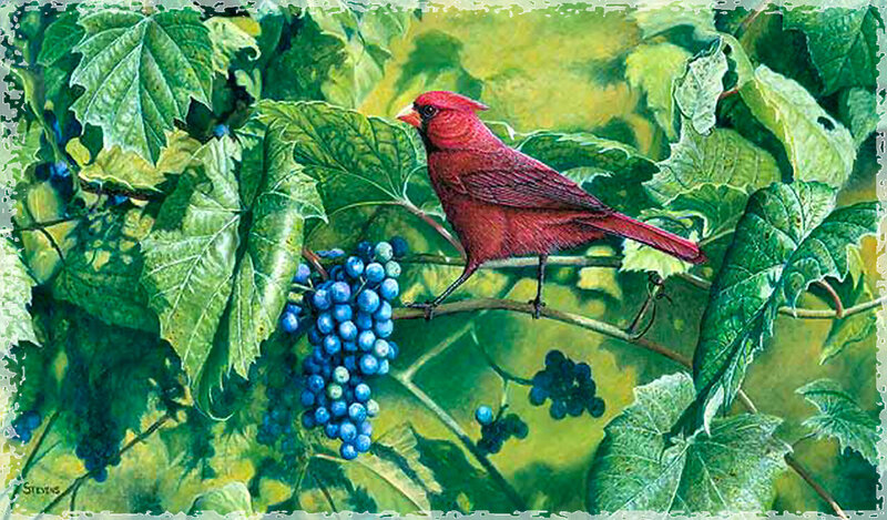 Red Bird on Grapevine