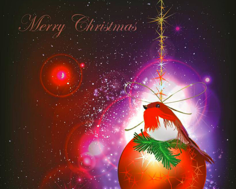 Red Bird on Ornament