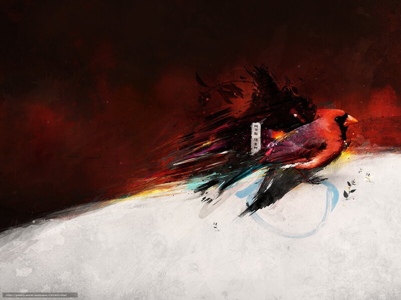 Red Bird on White Surface
