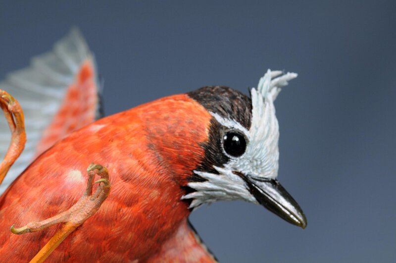 Red Bird Sculpture