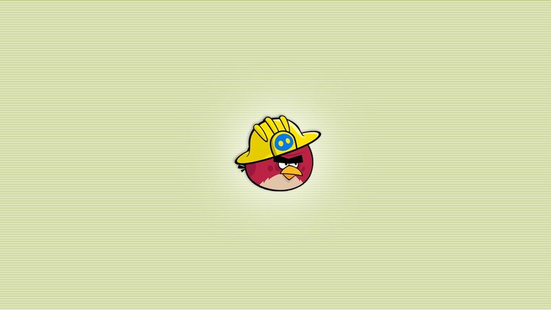 Red Bird Wearing Helmet