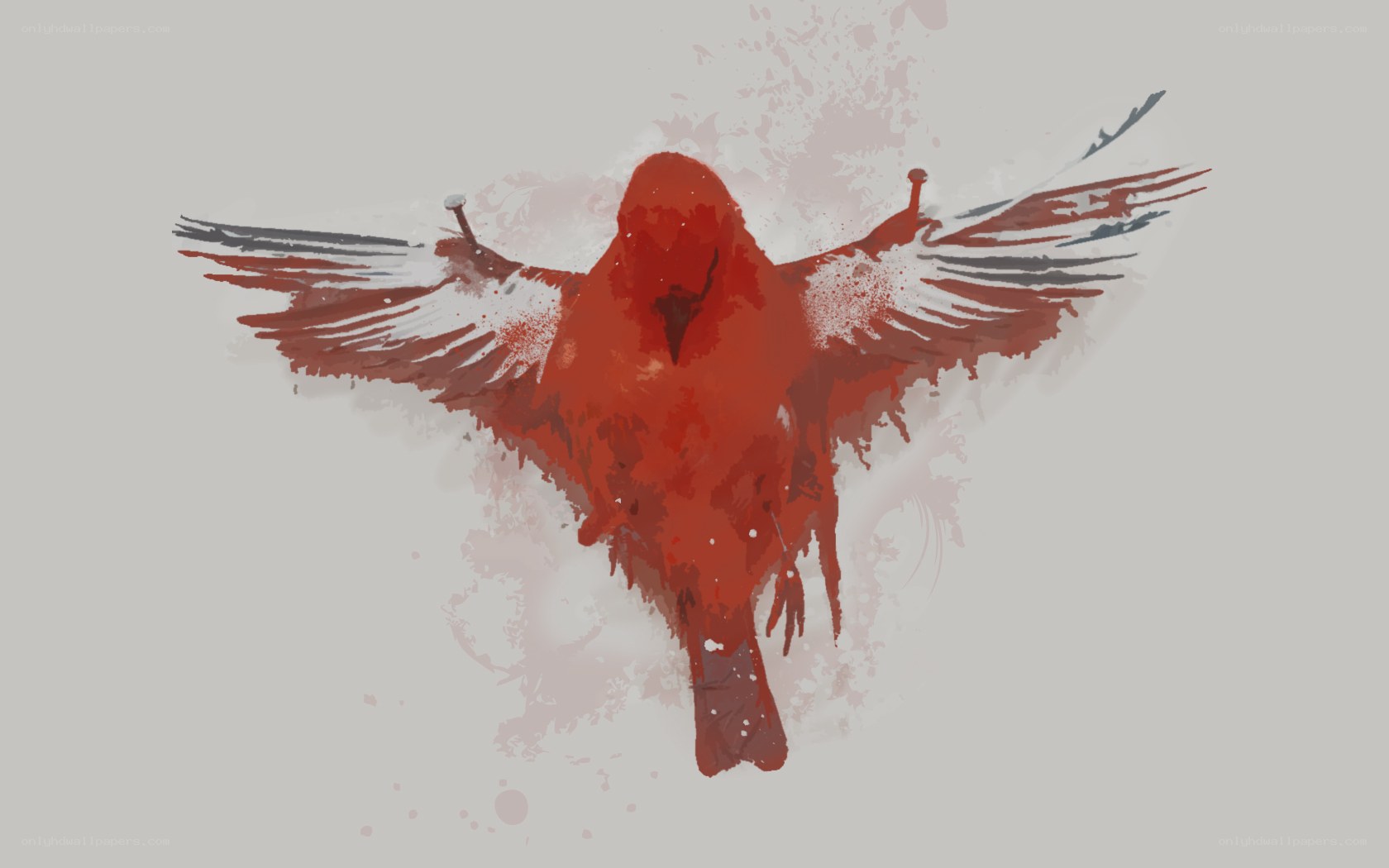 Red bird with outstretched wings