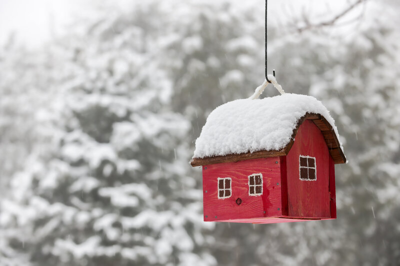 Red Birdhouse in Snow