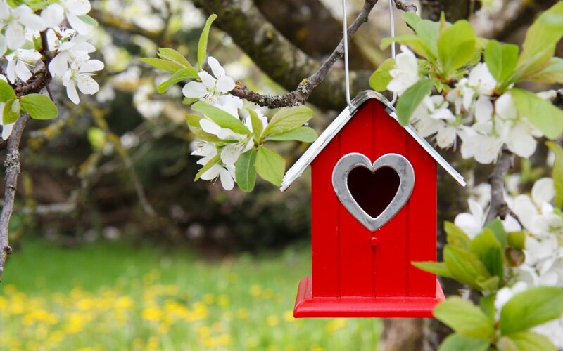 Red Birdhouse with Heart — Serene
