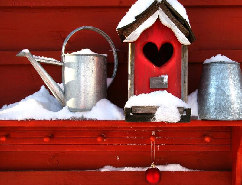Red Birdhouse with Snow — Festive, Winter