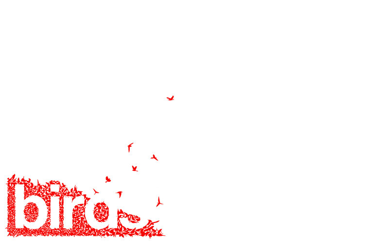red birds flying from text