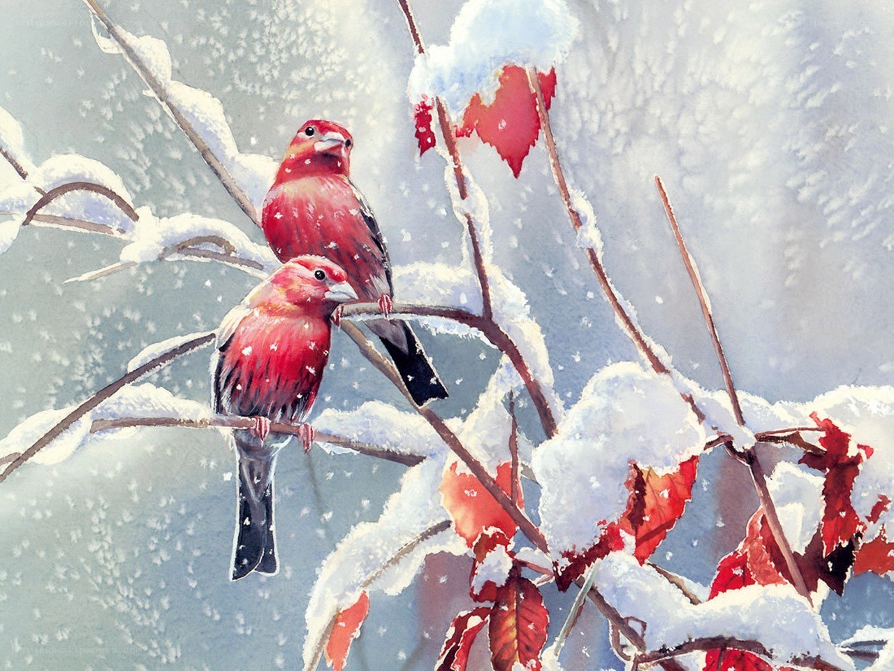 Red birds on snowy branches