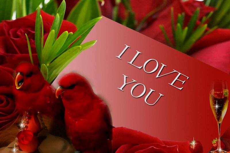 Red Birds with Roses