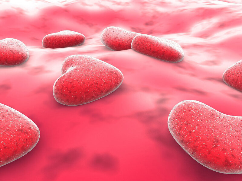Red Blood Cells — 3d Render, Pink