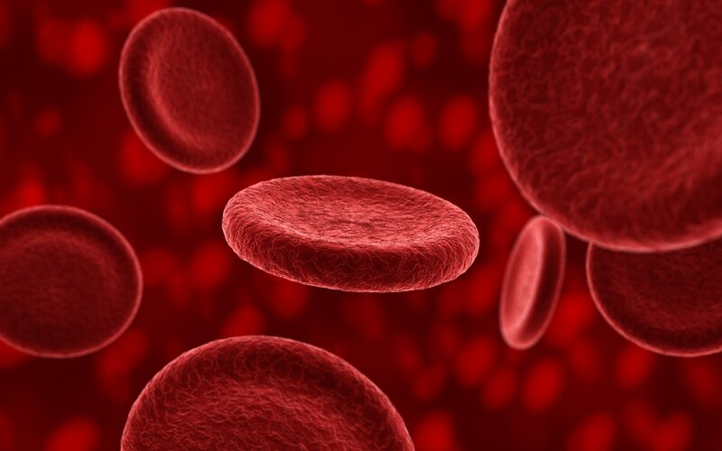 Red Blood Cells — Clinical, 3d Render, Blood Plasma