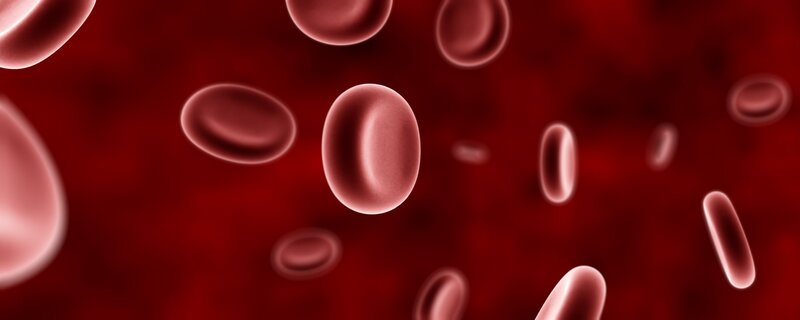 Red Blood Cells — Clinical, Digital Art