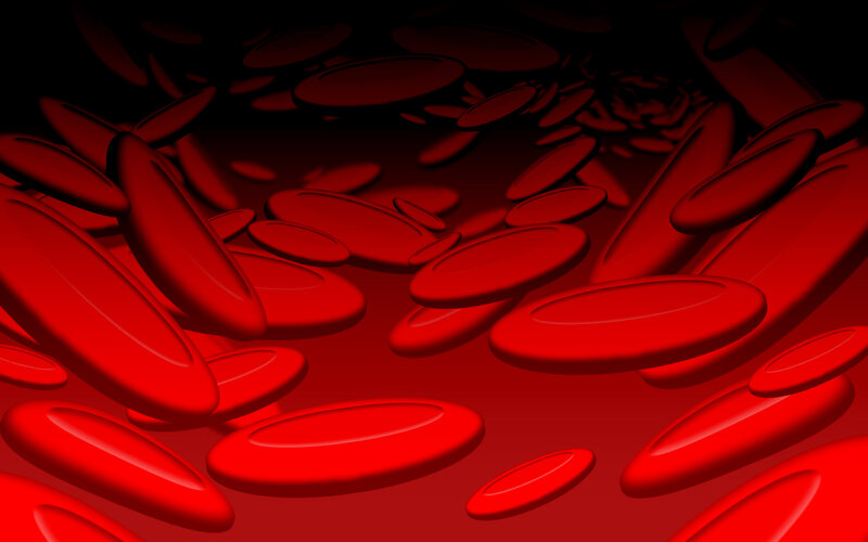 Red blood cells in a vessel