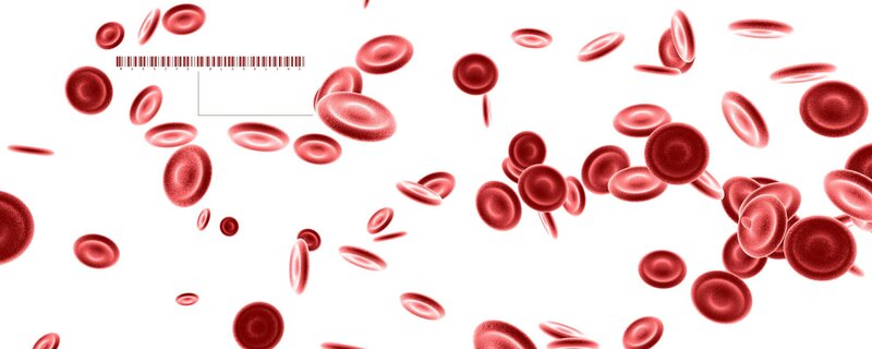 Red blood cells in bloodstream