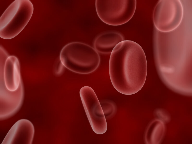 Red blood cells in circulation