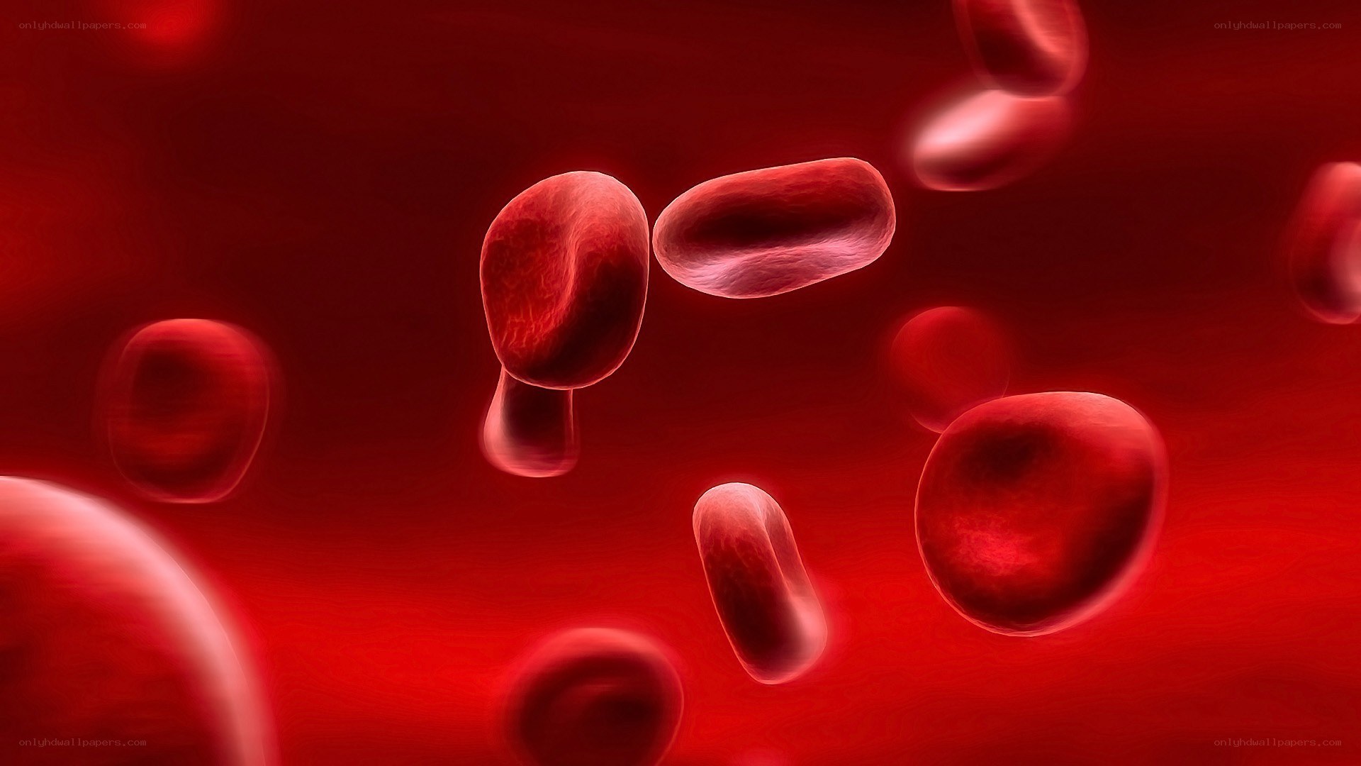Red blood cells in circulation