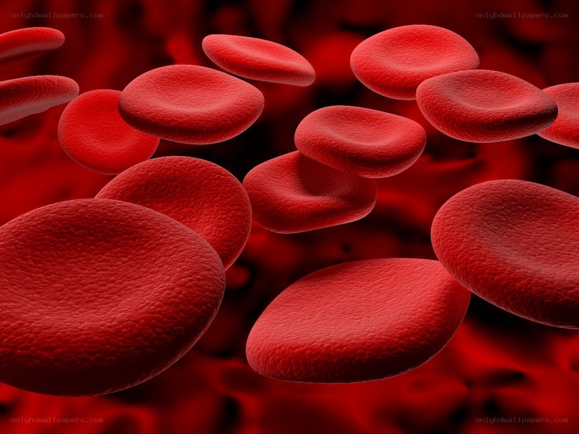 Red blood cells in circulation
