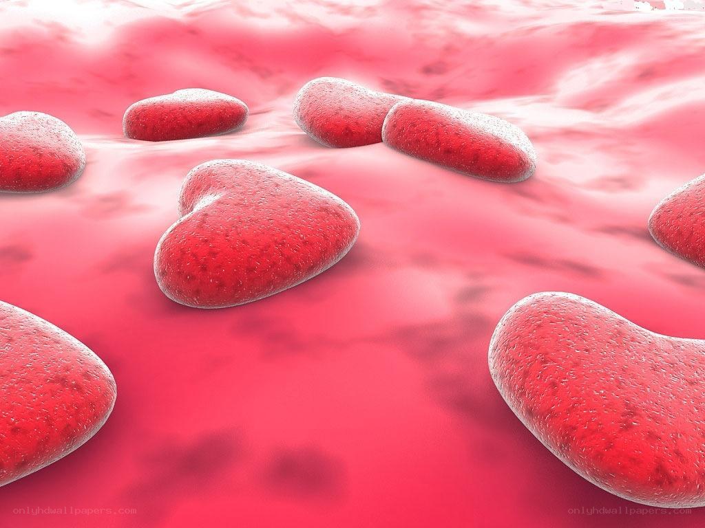 Red blood cells in circulation