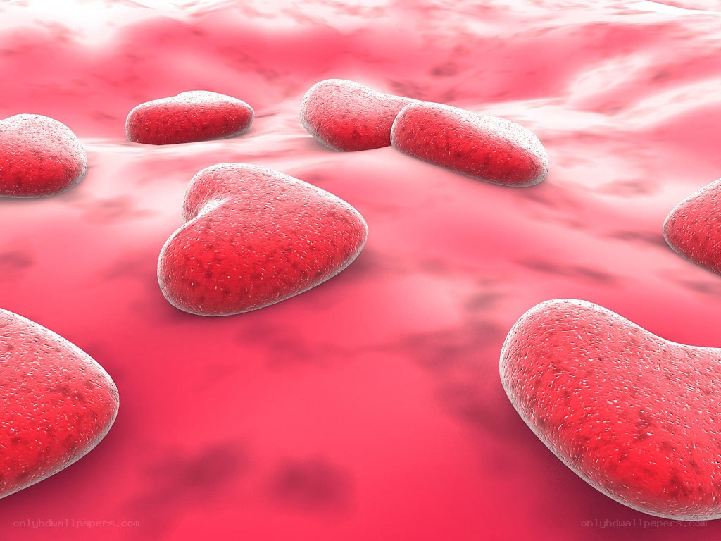Red blood cells in circulation