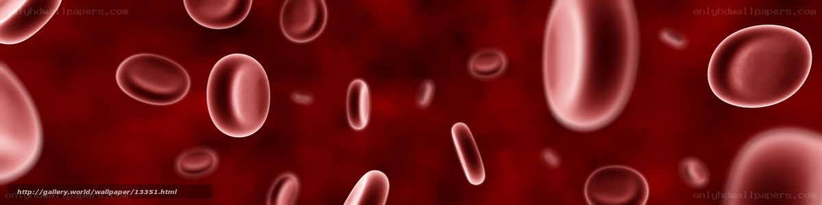Red blood cells in circulation