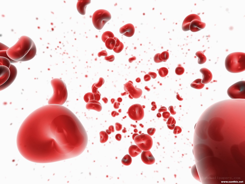 red blood cells in motion
