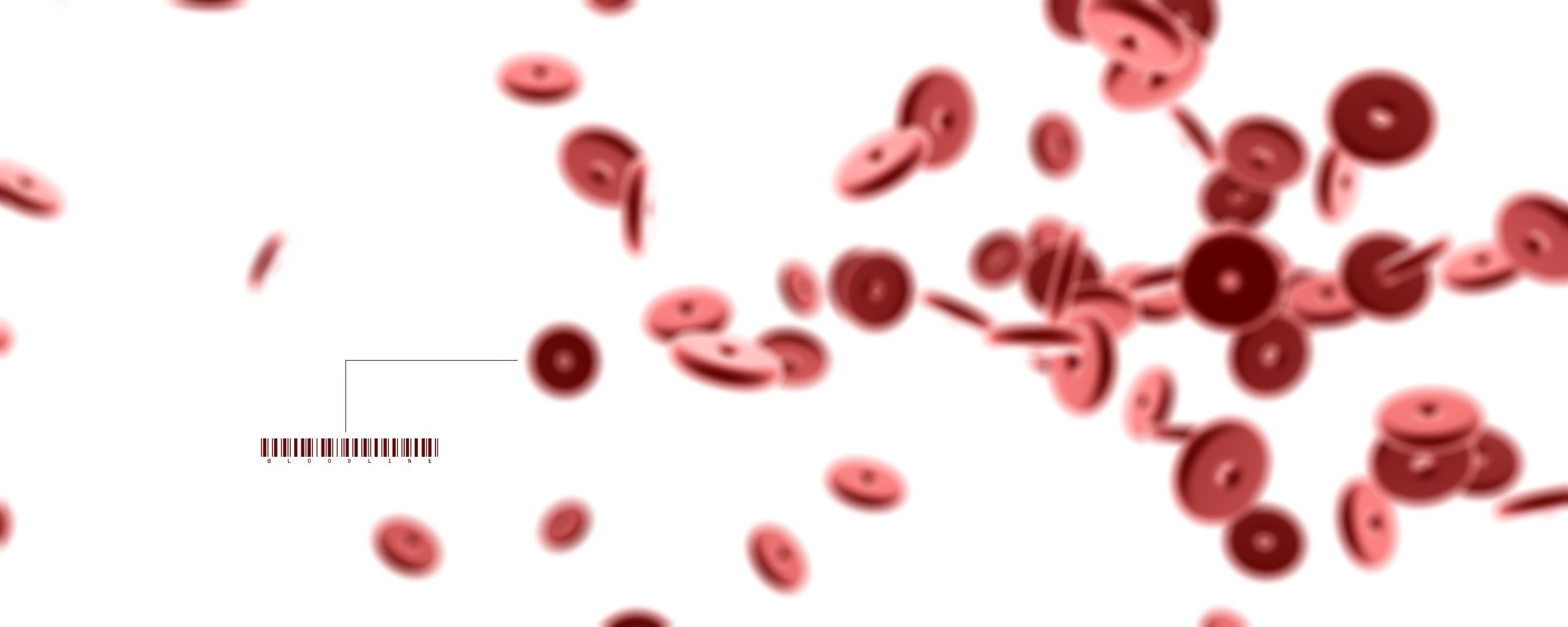 red blood cells in motion