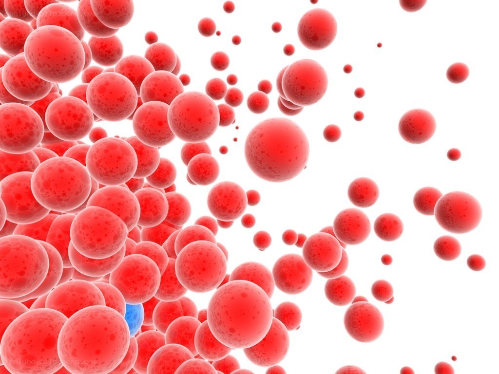 red blood cells in motion
