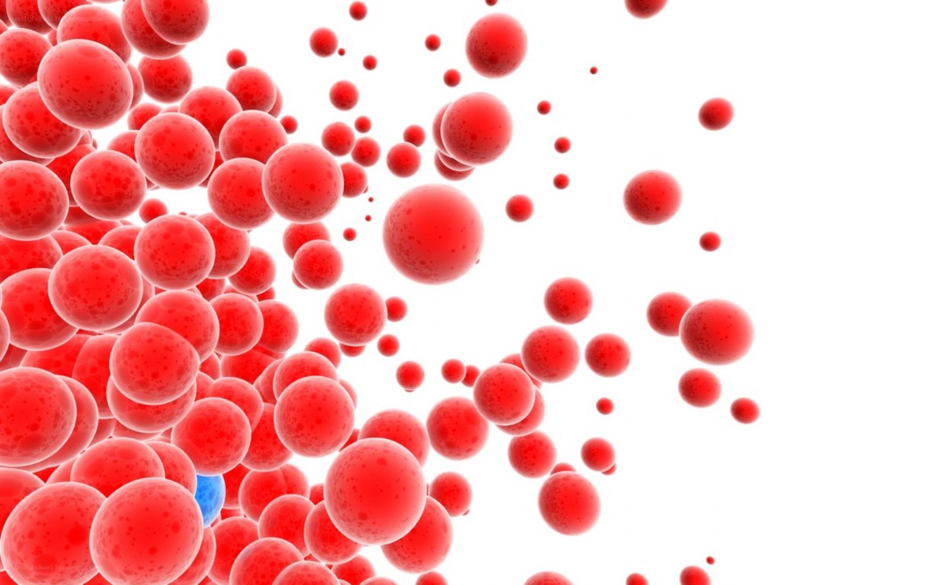 red blood cells in motion