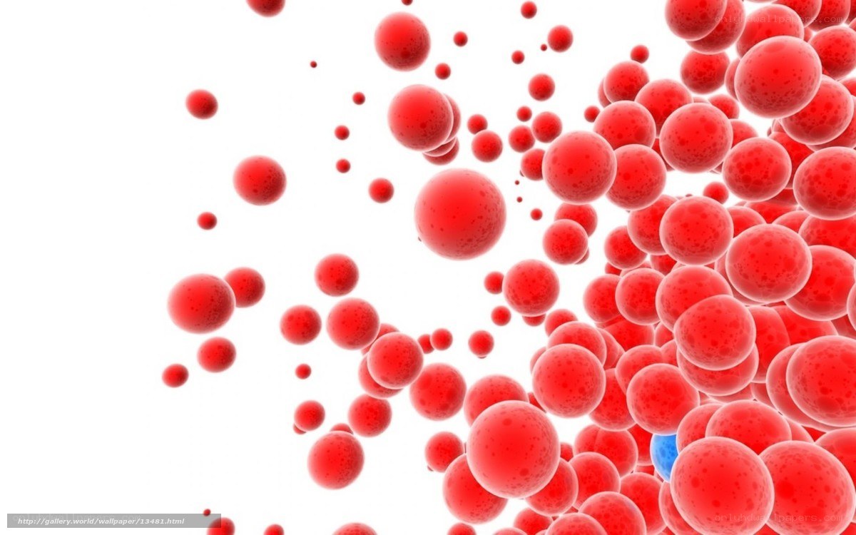 Red blood cells in motion