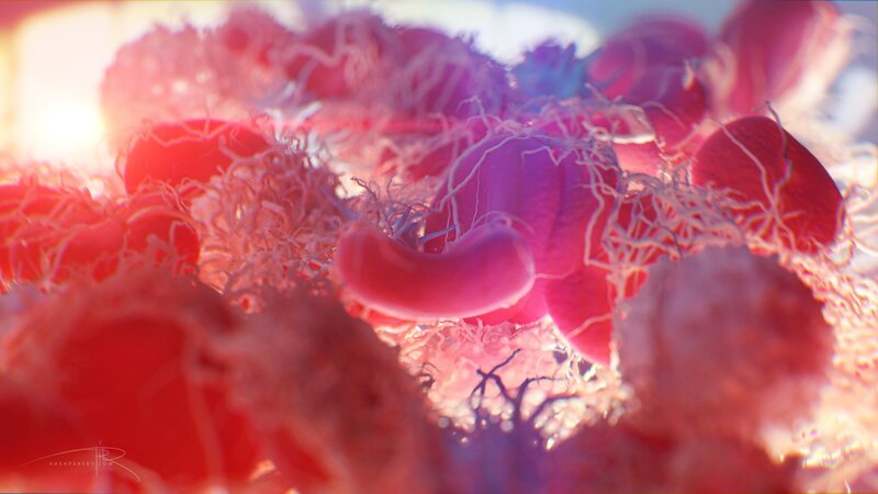 Red Blood Cells in Vessel