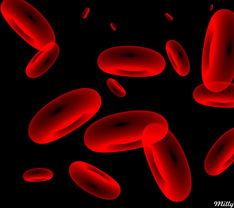 Red Blood Cells