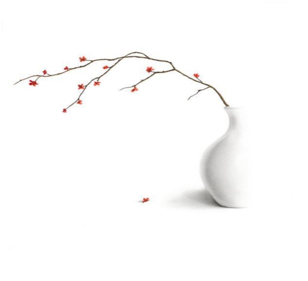 Red blossoms in a white vase