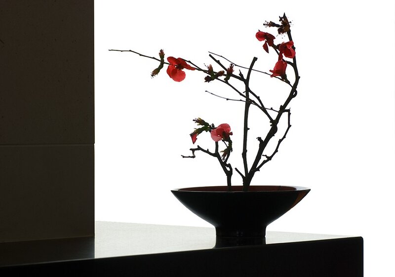 Red Blossoms in Black Bowl