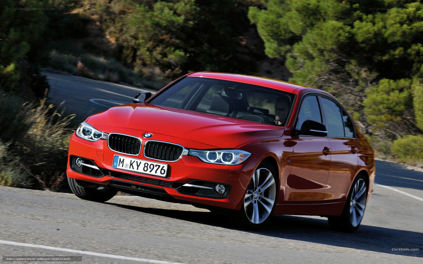 Red BMW 3 Series on a winding road