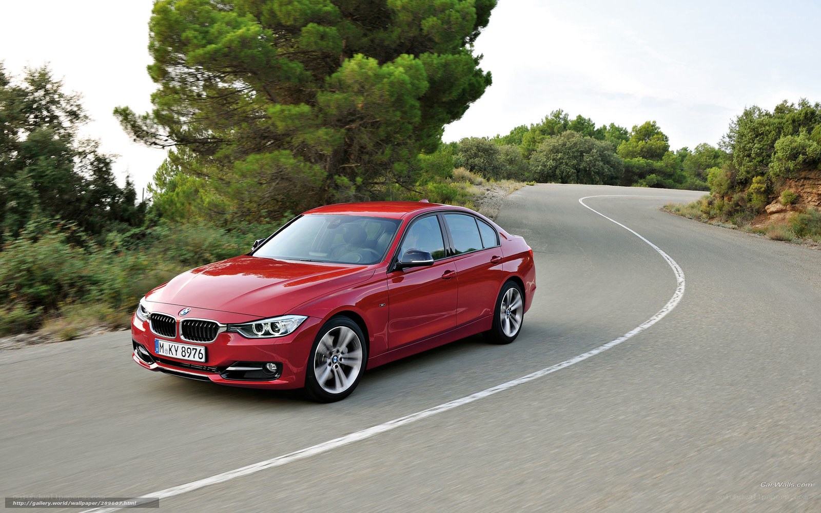 Red BMW 3 Series on winding road